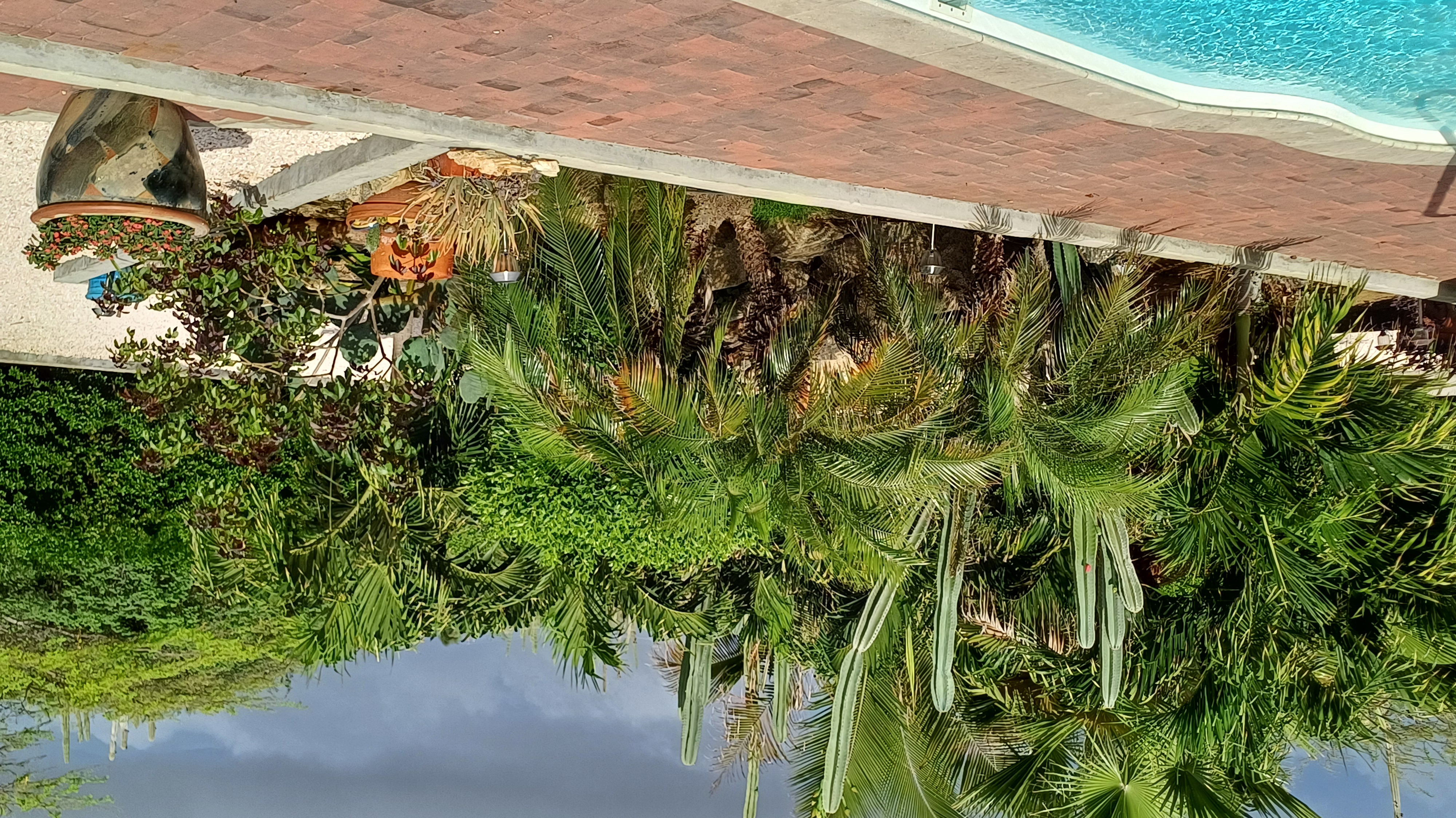 Casitas M&M Aruba buitenaanzicht