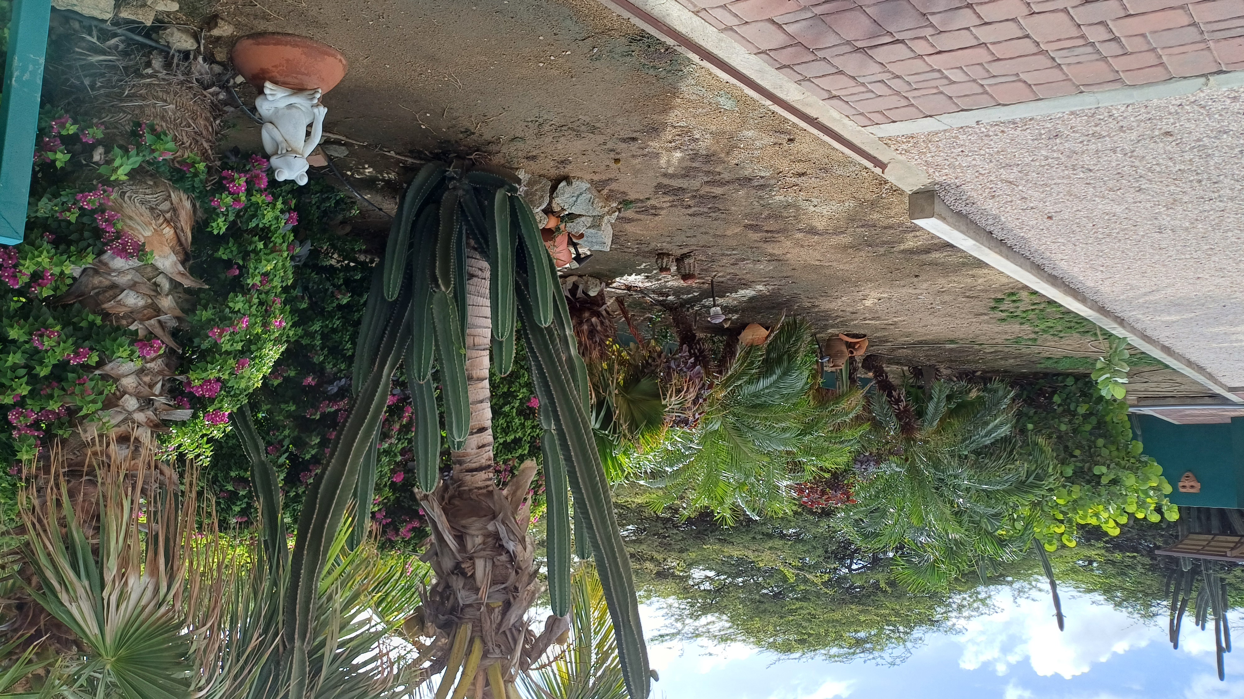 Casitas M&M Aruba - Appartement 2